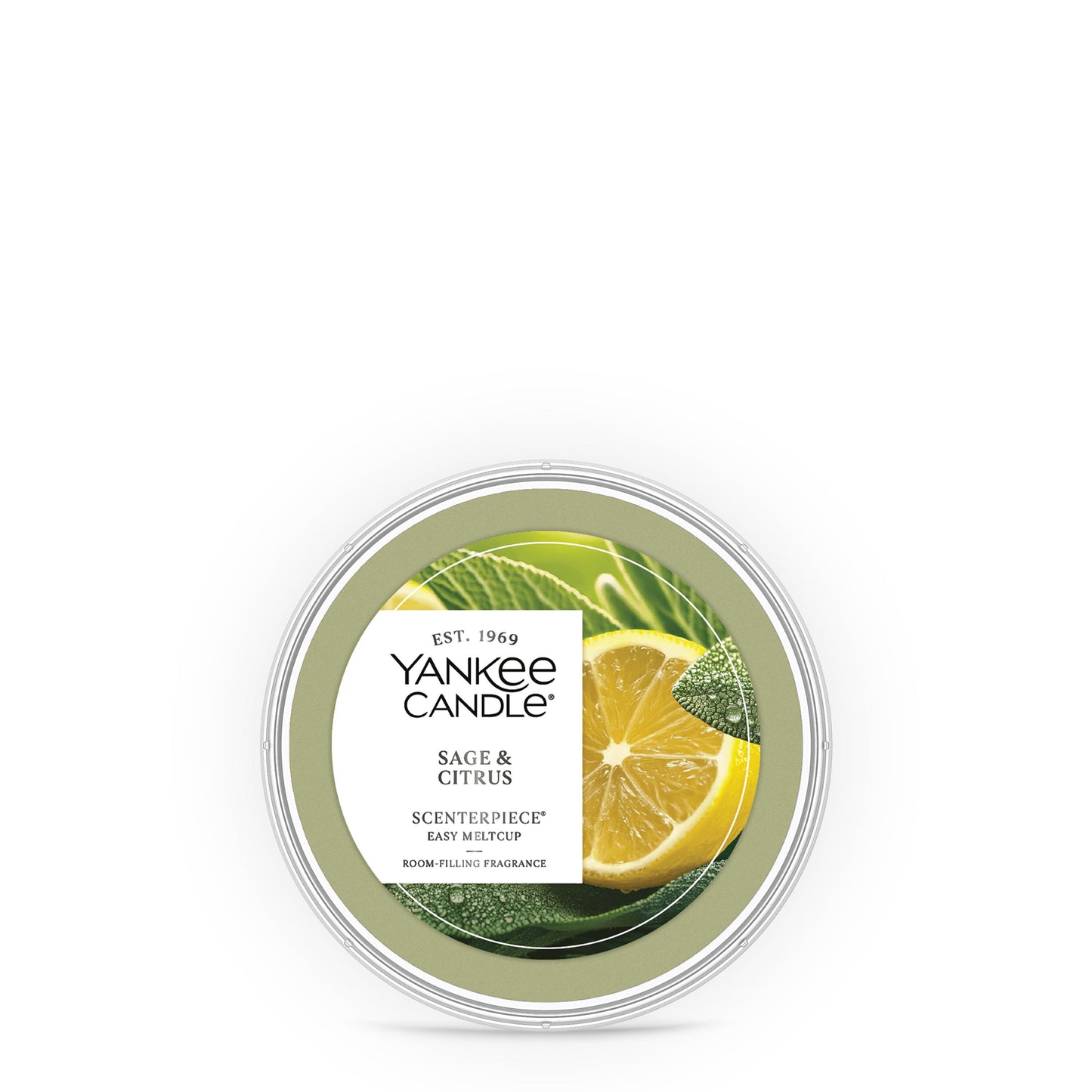 Sage & Citrus Studio 5-0751